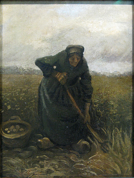 ジャガイモを掘り出す女性