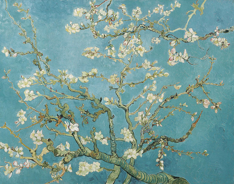 花咲アーモンドの木　1890年2月　サン＝レミ
